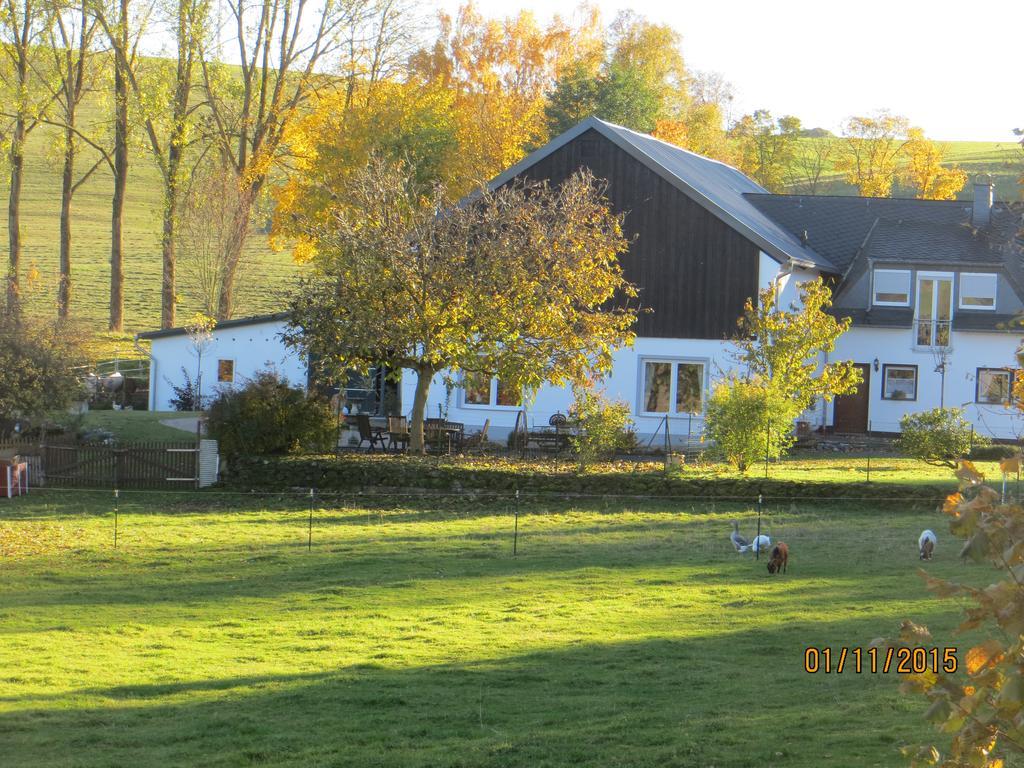 Apartment Grafenfelder Hof Gerolstein