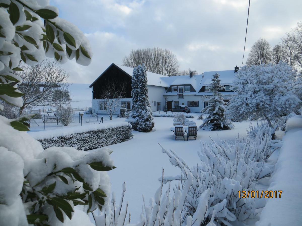 Apartment Grafenfelder Hof Gerolstein